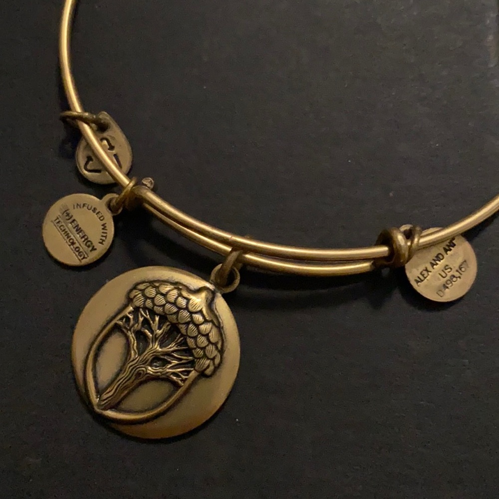 Alex an Ani adj  bracelet unexpected miracle 2016